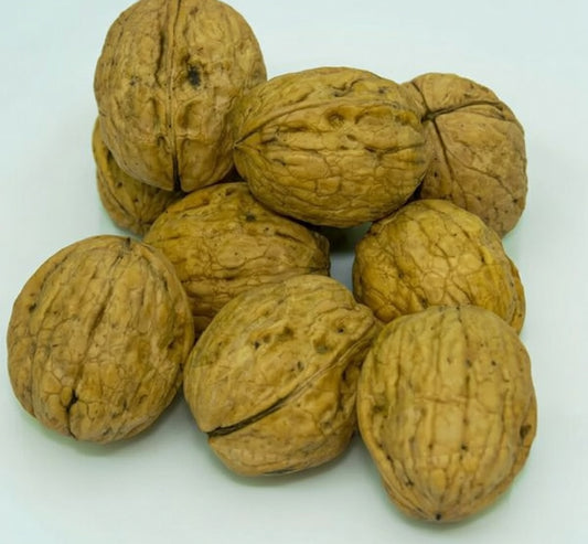 Akhrot Sabit (Walnuts with shell)