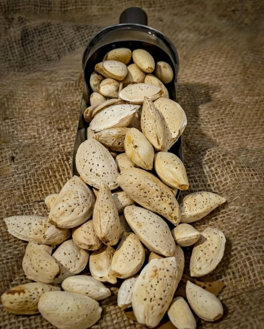 Badaam Kheradini Sabit (Almonds with shell)